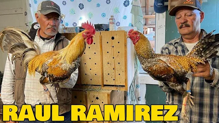 Roberto Ramirez Beautiful Birds Big Farm in Califo...