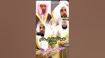 جَنَّاتُ عَدْنٍ يَدْخُلُونَهَا || تلاوة تأخذك إلى عالم الجنان لفضيلة الشيخ الأستاذ د. عبدالله الجهني