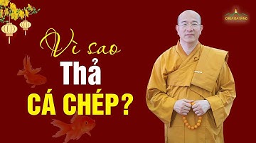 Tại sao cúng ông táo lại thả cá chép mà không phải con vật khác?