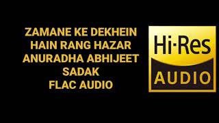 ZAMANE KE DEKHEIN RANG HAZAR BY ANURADHA ABHIJEET (SADAK) HQ FLAC AUDIO HINDI 90S SONG