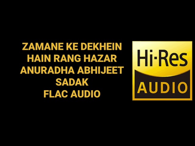 ZAMANE KE DEKHEIN RANG HAZAR BY ANURADHA ABHIJEET (SADAK) HQ FLAC AUDIO HINDI 90S SONG