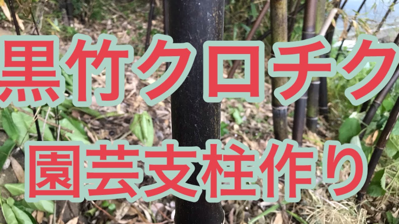 Black Bamboo] I Made Garden Stakes Out of Bamboo! - YouTube