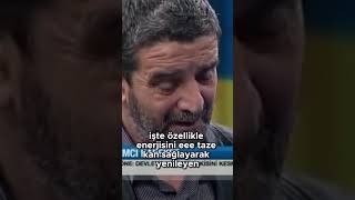 Mümtazer Türköne Ak Parti Devlet Değil, Olması Da Imkansız