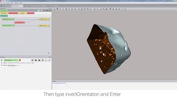 Amira-Avizo How To | Create the mirror image of a surface