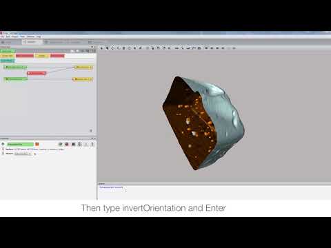 Amira-Avizo How To | Create the mirror image of a surface