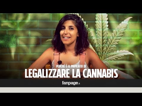 Video: Questa Linea Temporale Della Legalizzazione Dell'uguaglianza Matrimoniale Ti Terrà Al Caldo