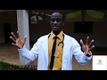 Maandalizi Sahihi Ya Mboga Za Majani Ili Kupata Faida Zote 