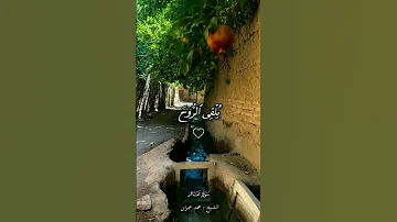 رفيع الدرجات ذو العرش من أروع ما قرأ الشيخ محمد عمران الشيخ محمد عمران قرآن تلاوة خاشعة Shorts 