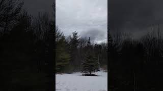 the wind howls