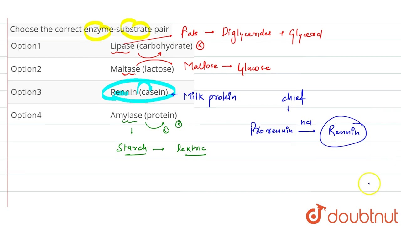 Choose The Correct Enzyme Substrate Pair Youtube
