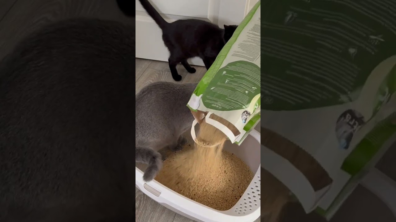 WE CARE... und zwar jetzt auch mit der Extra-Portion Aktivkohle! 🖤 