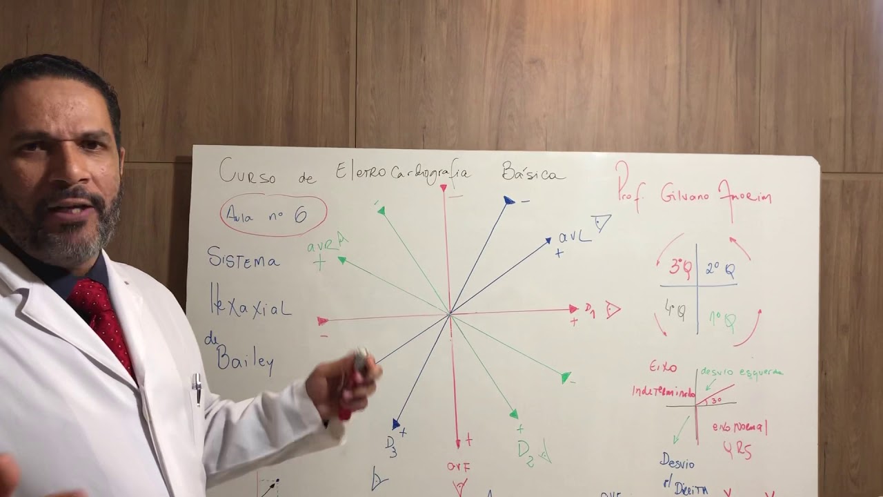 Aula 6 Sistema Hexaxial de Bailey YouTube — free download