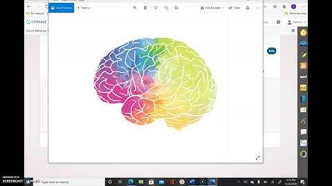 Word 2019 Module 1 Part 3