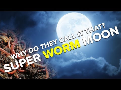Video: La Super Worm Moon Si Svolgerà Durante L'Equinozio Di Primavera Ed è L'ultima Super Moon Del
