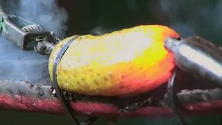 Dont get fried!