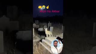 Download Lagu Kudrat ka Karishma 🤲😭☝️🫵 MP3 Download Lagu Kudrat ka Karishma 🤲😭☝️🫵 MP3