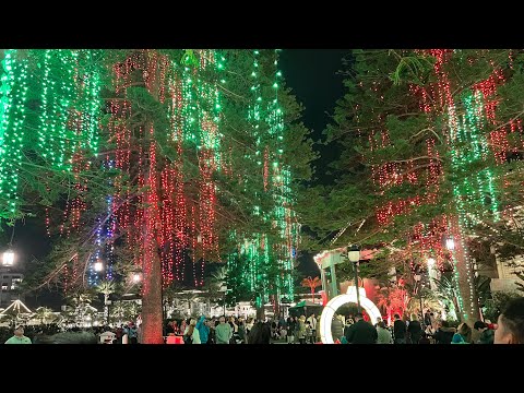 Hotel Del Coronado - Holiday Event