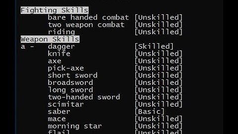 Concise Nethack: Training and Skill Slots