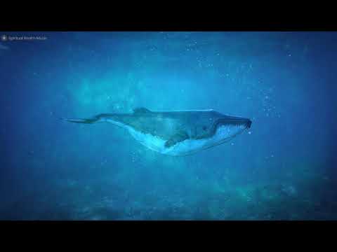 432 Hz Underwater Whale Sounds Deep Sleep Relaxation Music