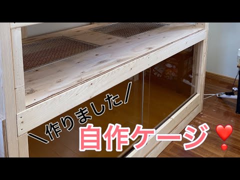 今期ラスト！自作爬虫類ケージ飼育セット hqdefault.jpg
