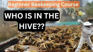 ☯️ WHO IS IN THE HIVE? Honey Bee Castes ~ Zen #Beekeeping Course
