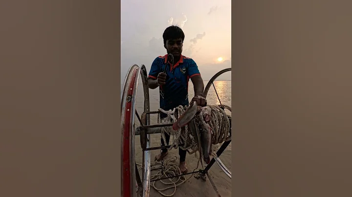 Amazing catfish fishing skills by hunting shark  #fishinglife  #bait  #shorts