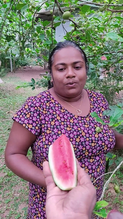 හොද වෙලාවට තව එකක් තිබුනේ