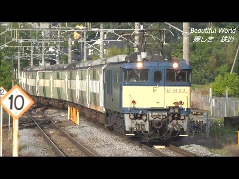 元 特急踊り子号 185系A5編成 死神に牽引され廃車回送される