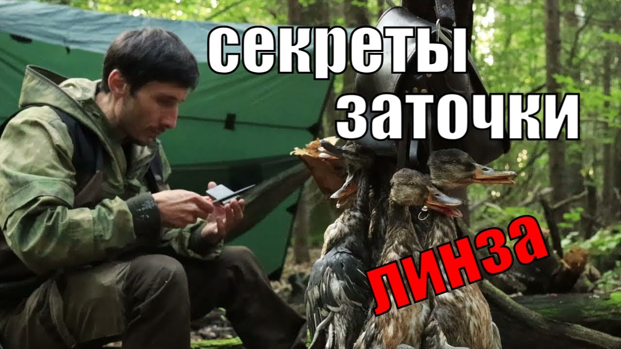 Топовая заточка ножа для бушкрафта и охоты I Заточка конвекса - YouTube