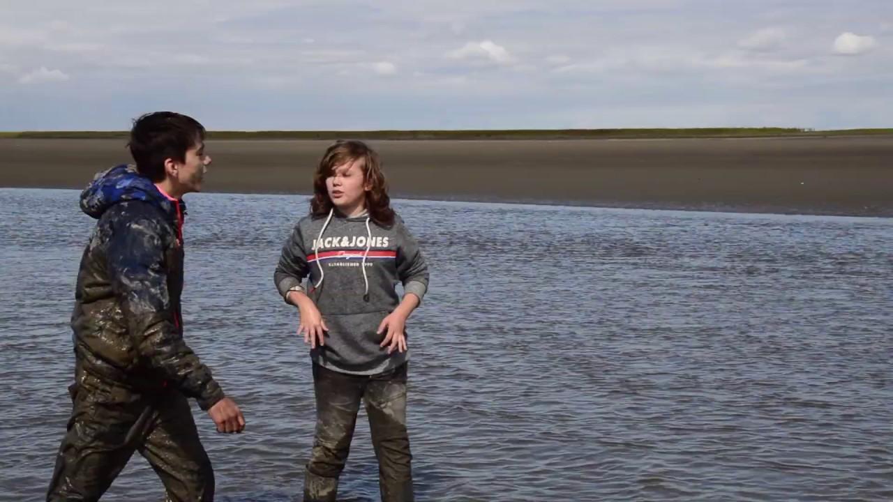 Het Verdronken Land van Saeftinghe