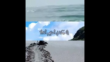 @ ماتيسر من سورة  ﴿يس﴾  بصوت  القارئ الشيخ  علاء  المزجاجي  .