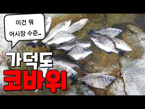 코바위