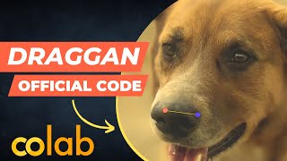 drag your GAN: Official code Installation Guide | Google Colab Tutorial | DragGAN GitHub