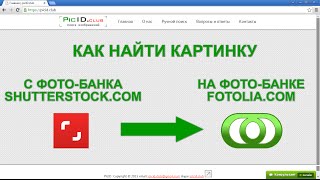 Как найти картинку shutterstock.com на fotolia.com(, 2015-11-07T14:24:59.000Z)