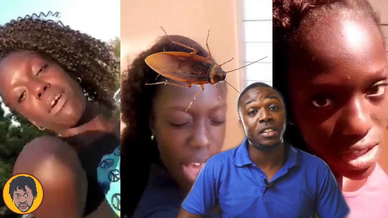 Jamaican Mackerel Has Something To Say AndreDesignz YouTube