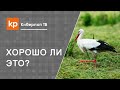 Хочу родить без мужа. Ребенок воспитанный мамой