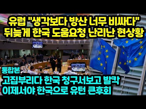 유럽 방산 너무 비싼 <strong>청구서에</strong> 놀라 한국에 강제명령 내린 상황