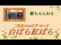 白ばら紅ばら