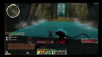 Some clips of the dev Q&A, Steam Deck [GW Reforge]