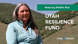 How Utah Is Protecting Drinking Water from Wildfires | A New Resilience Model
