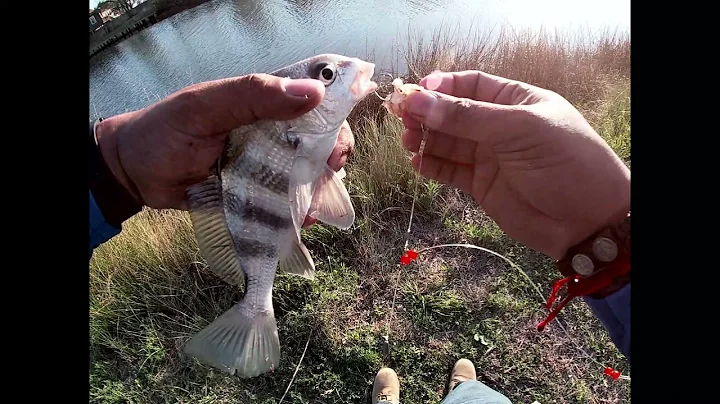 Oyster Creek inshore saltwater fishing in freeport Texas/ Pesca en Freeport Texas
