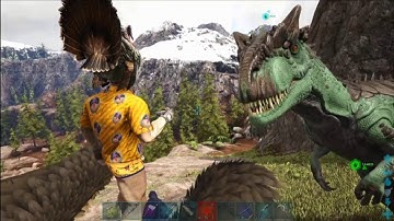 Taming a Griffin, Allo