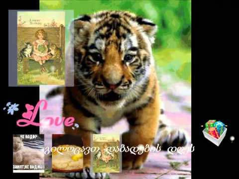 მისალოცი მეგობარს....