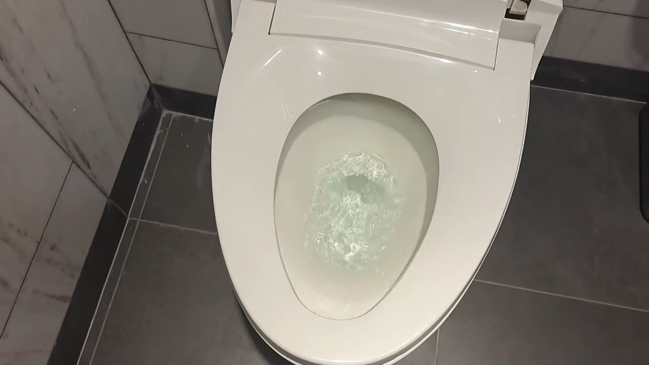Kohler Veil Toilet