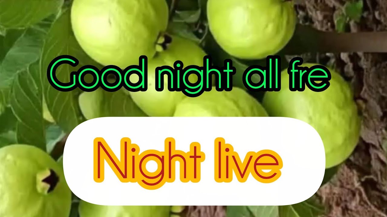 sudipsaha   officil video  এখন লাইভ! শুরু করতে চললাম নাইট লাইফ