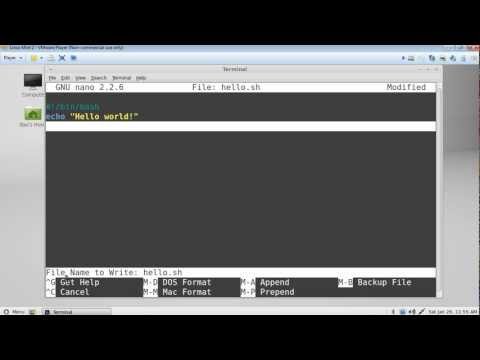 Linux Mint Shell Scripting for Beginners -Part 1