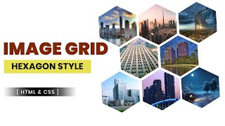 Awesome Image Grid  using Html CSS | CSS Grid Layout screenshot 2