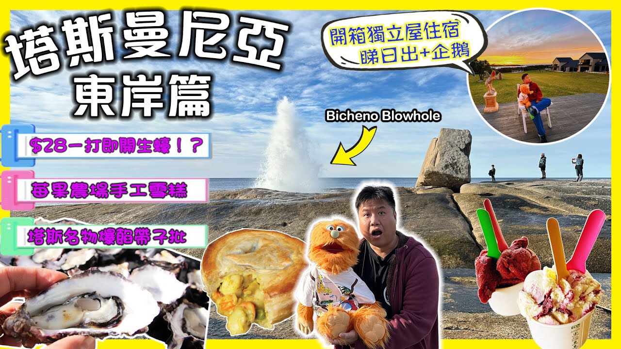 【腹語澳洲自由行EP7】$28一打現開生蠔?! 🦪 住宿門口竟然有野生企鵝？塔斯曼尼亞東岸 Bicheno 超狂懶人包 + 一日遊攻略！(必吃帶子批/噴水洞)