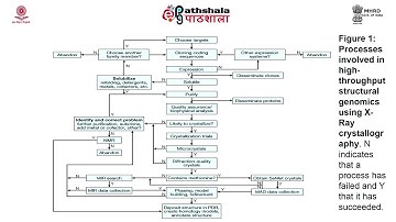 Large scale analysis of genome: Structural Genomics
