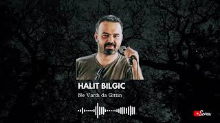 Halit Bilgiç - Ne Vardı da Gittin Resimi